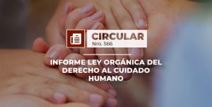 INFORME LEY ORGÁNICA DEL DERECHO AL CUIDADO HUMANO